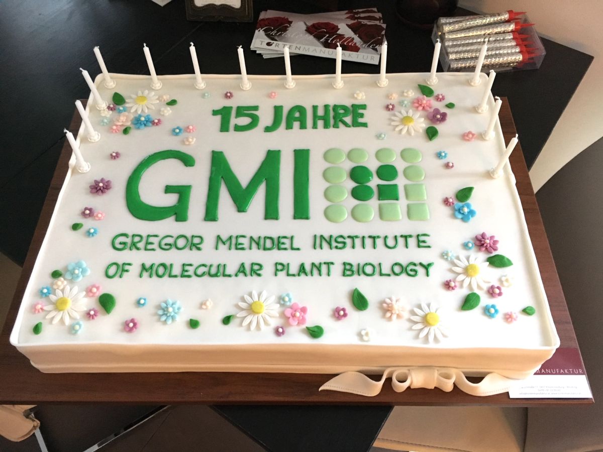 Rechteckige Firmentorte zum 15-jährigen Bestehen von GMI mit grünem Logo, Zuckerblüten und Blättern