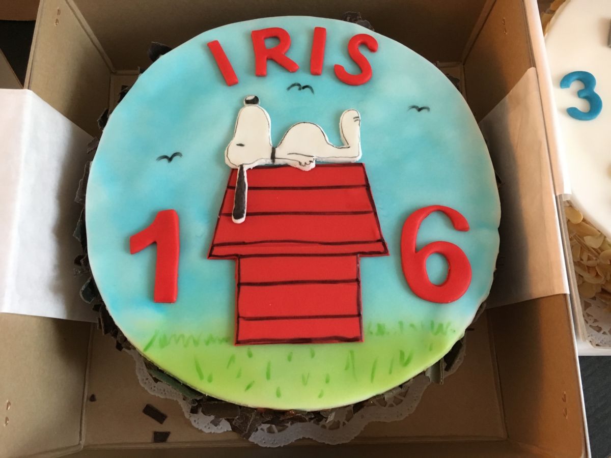 Children’s birthday cake with Snoopy on red doghouse, turquoise background