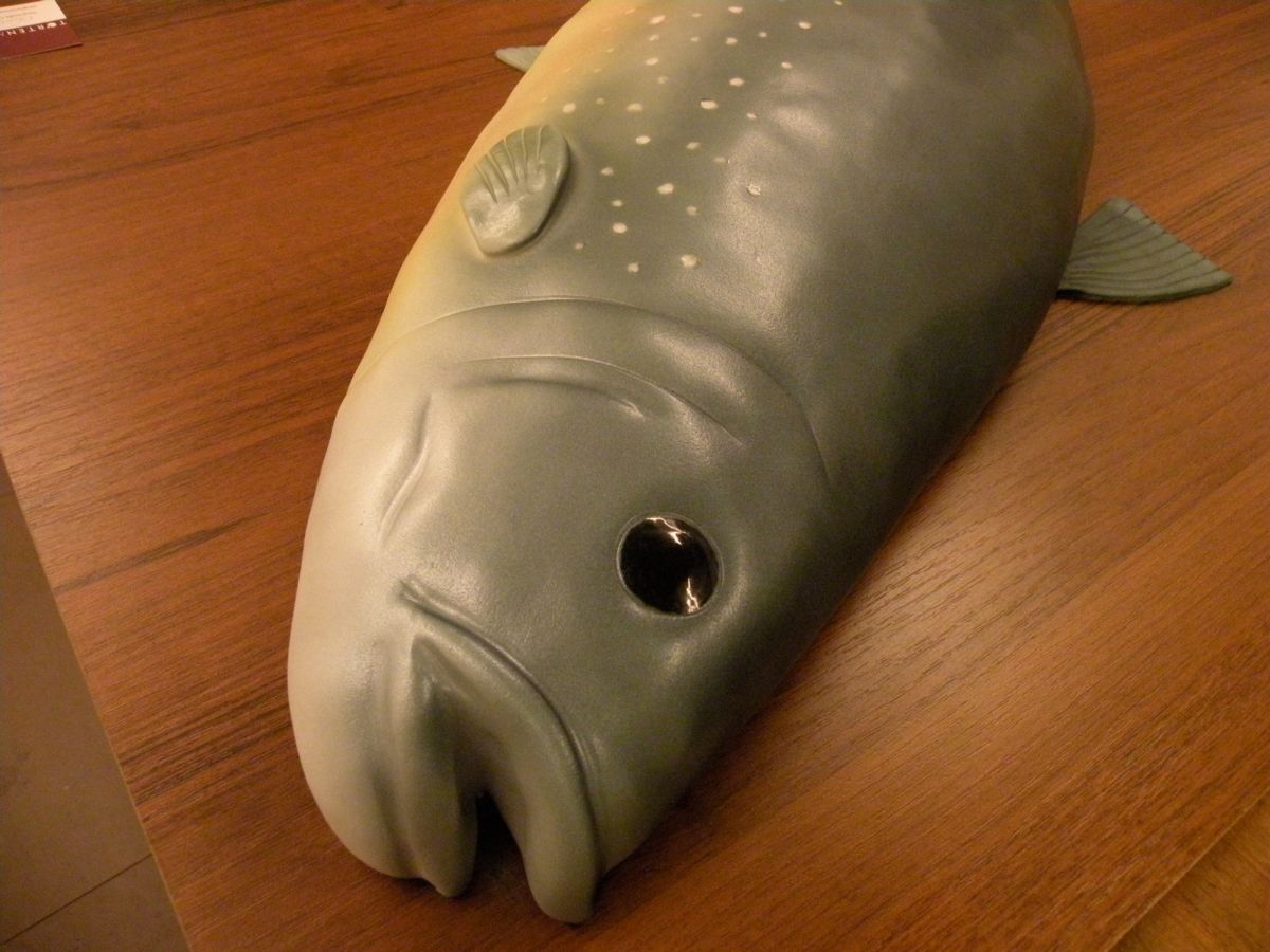 Sage green fish-shaped cake with detailed fins, eyes, and textured body